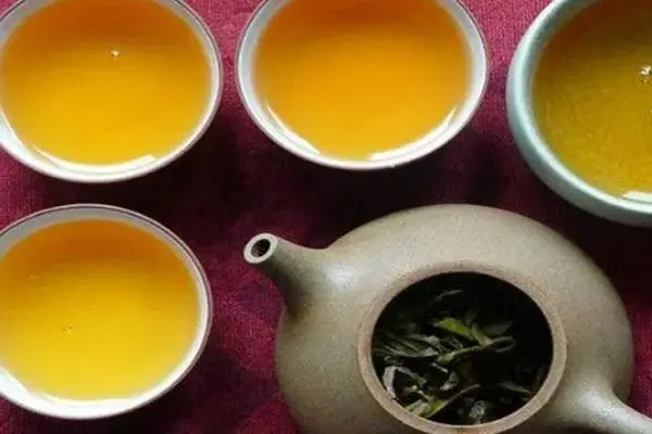 2022年普洱茶怎么泡法才正確？