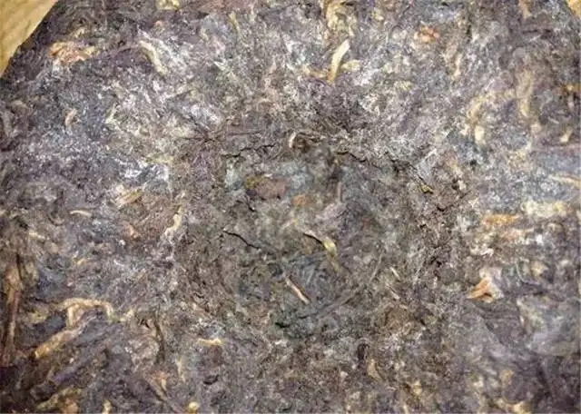 2022年普洱茶受潮發(fā)霉了怎么辦？