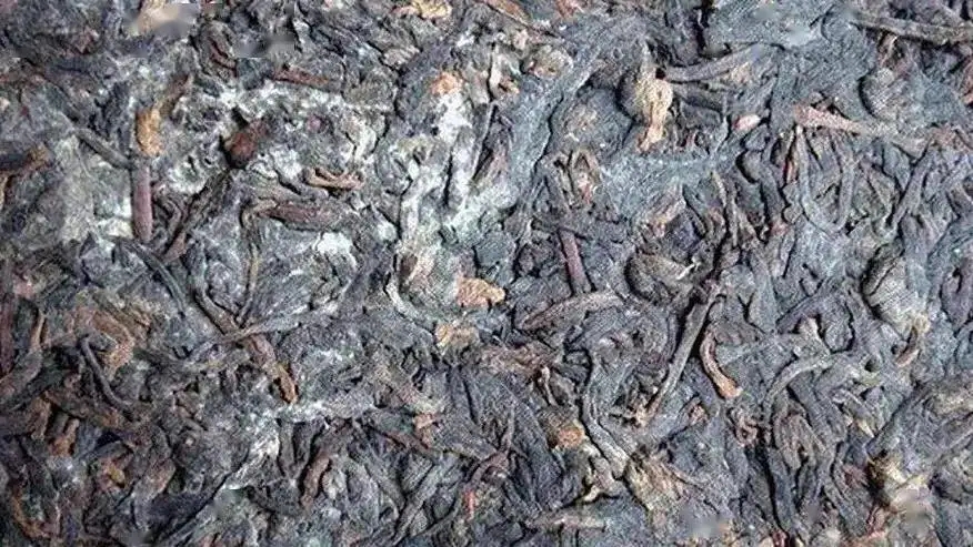 普洱茶怎么樣才算發(fā)霉？