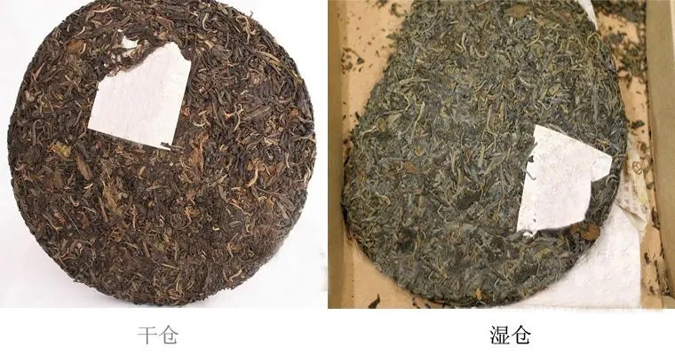 普洱茶怎么分辨干濕倉？