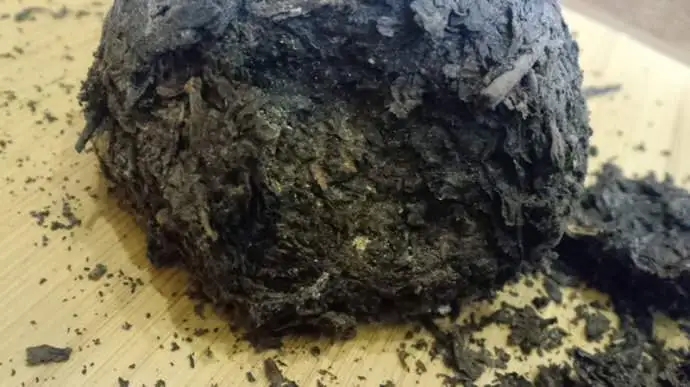 普洱茶蟲子怎么辦？