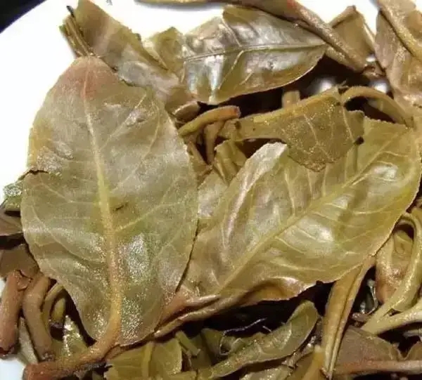 怎么看古樹普洱茶葉底？