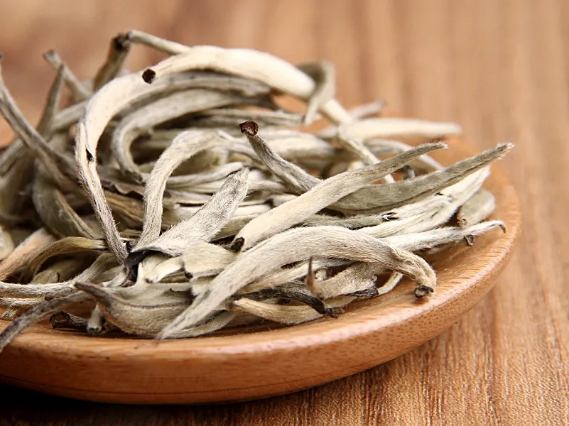 福鼎白茶、安吉白茶、云南月光白“三白”的區(qū)別