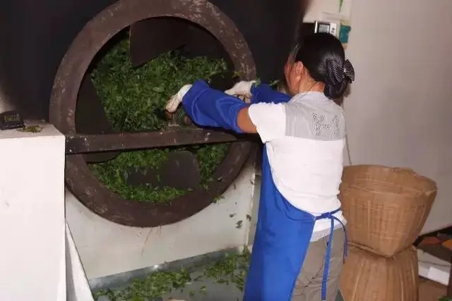 手工殺青與機(jī)器殺青的區(qū)別！