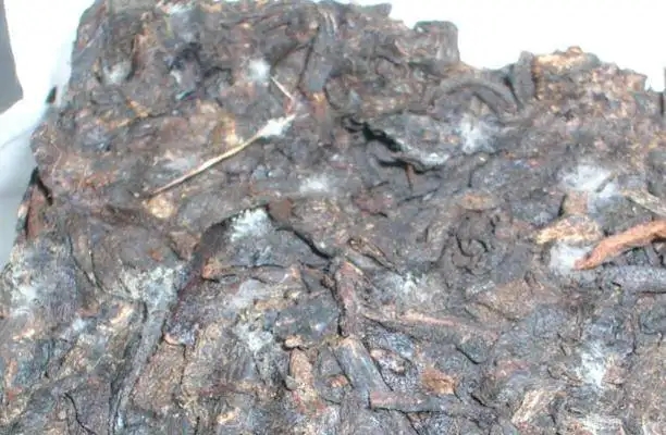 ?普洱茶發(fā)霉了怎么辦？教你妙招應(yīng)對(duì)發(fā)霉的普洱茶！