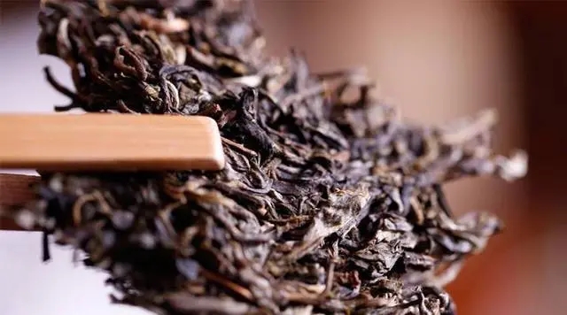 普洱生茶好還是普洱熟茶好喝？如何挑選適合自己的普洱茶？