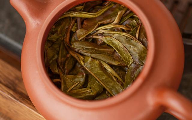 普洱生茶達到好喝的口感要多久?