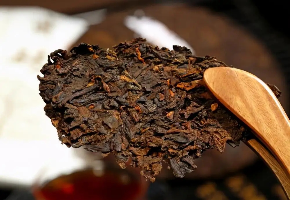 普洱茶生津、回甘、滋味、口感是怎么回事？丨實用