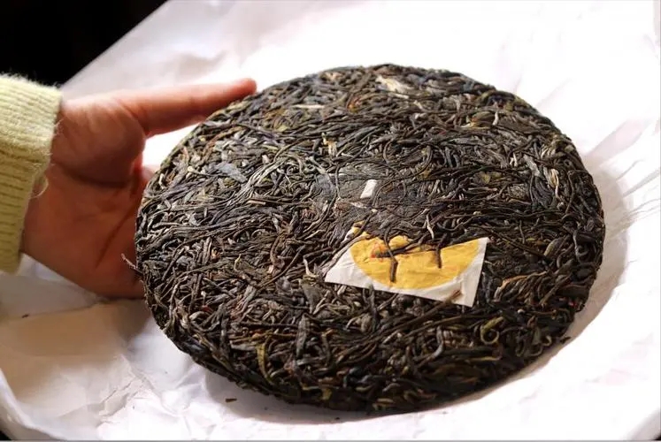 犀牛塘 | 古韻留香，帕沙之王