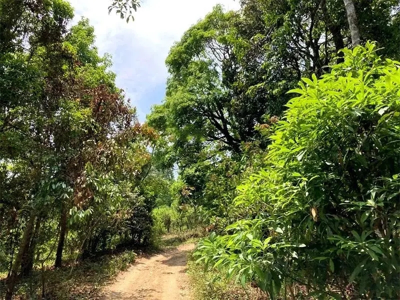 茶山紀(jì)實(shí)：犀牛塘，最近能火是有原因的