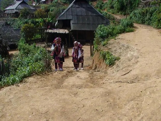 2022年的春天，古樹(shù)味道從犀牛塘開(kāi)始！