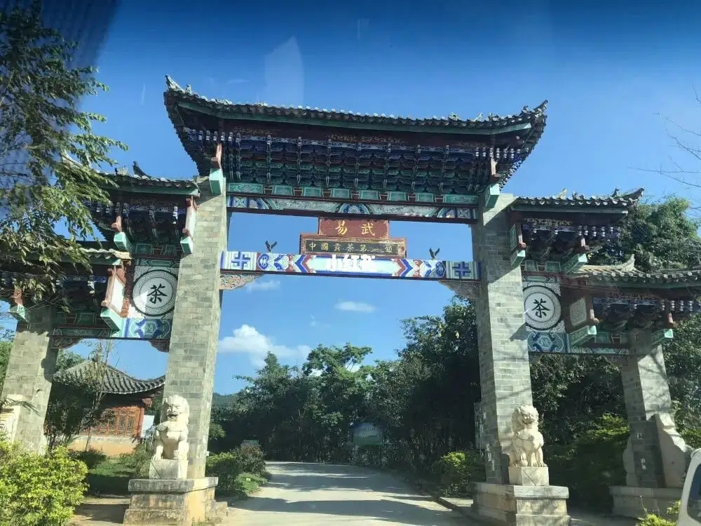 古樹茶年份越老，茶葉就越好嗎？影響茶葉品質(zhì)的因素有哪些？