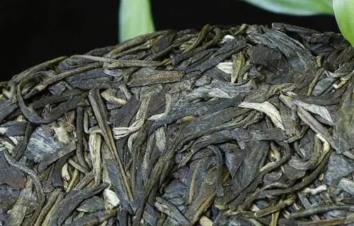 喝普洱茶，一定要喝老茶嗎？