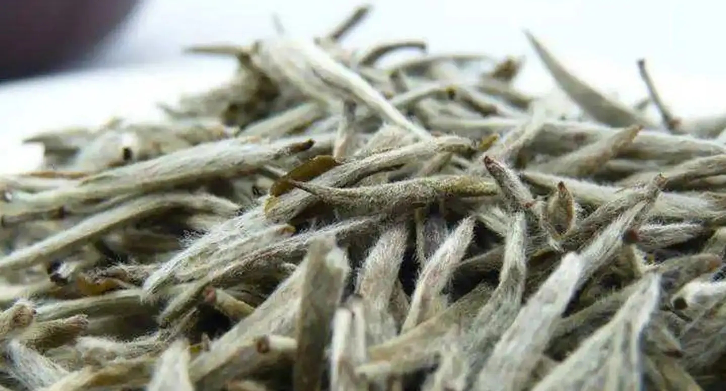 茶毫越多的茶，品質(zhì)就越高嗎？
