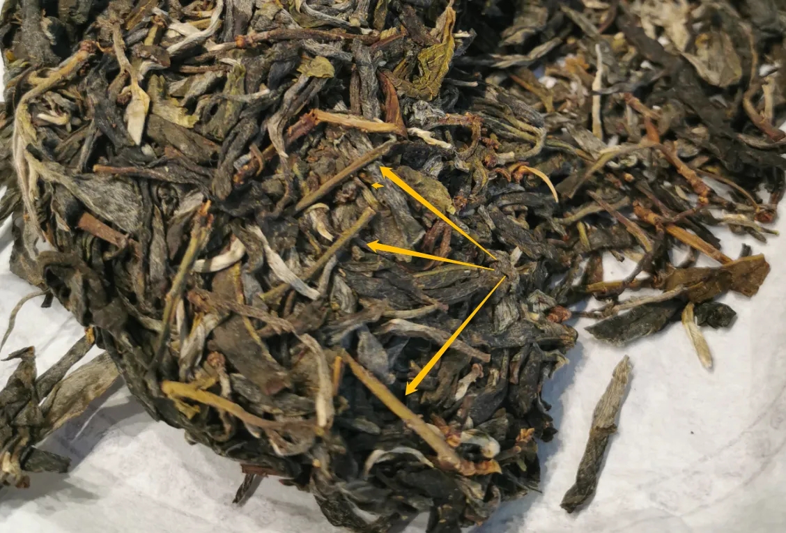 普洱茶的葉底有茶梗，就是茶不好嗎？