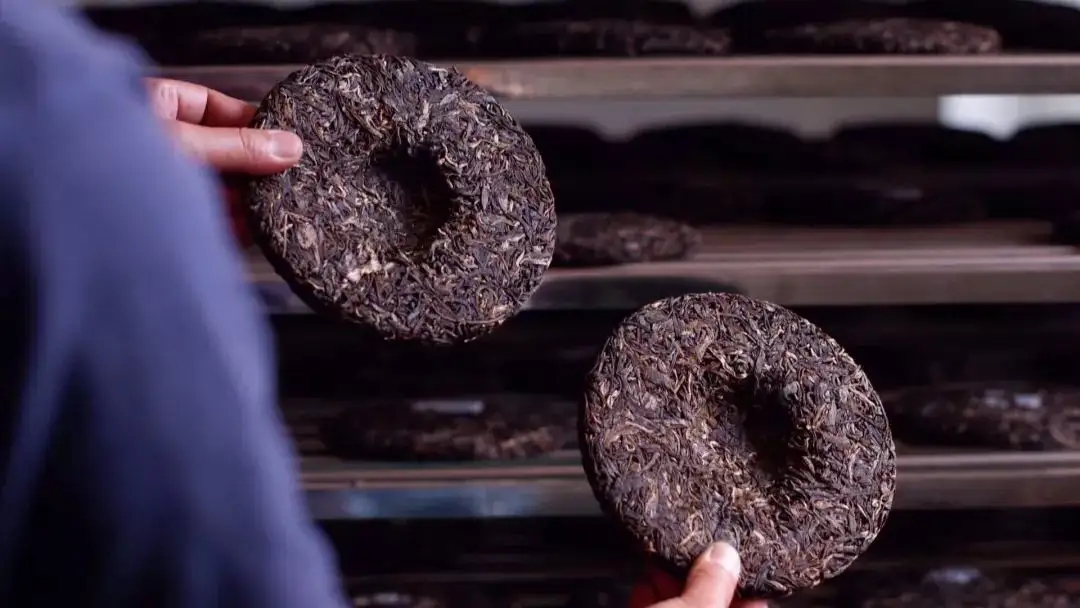 喝茶人都關(guān)心的普洱熟茶4大超核心問題！