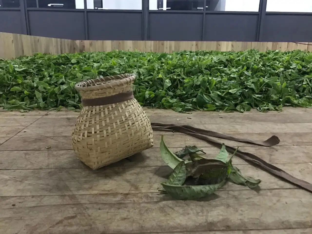 普洱茶，如果不談山頭，我們談什么？