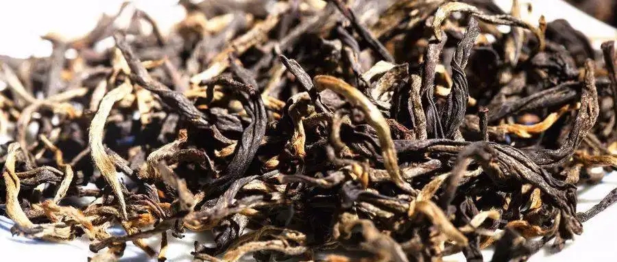 什么是茶氣？茶氣強(qiáng)勁又是一種怎樣的體驗(yàn)？