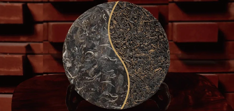 一入普門深似海？入普洱門前，你需要了解這些