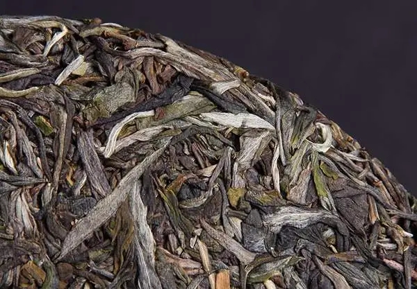 普洱茶屬于什么茶？普洱茶為什么會越陳越香？