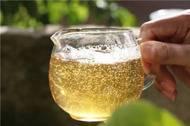 茶顏觀色”，看普洱茶條索里都蘊含著怎樣的“密碼”？