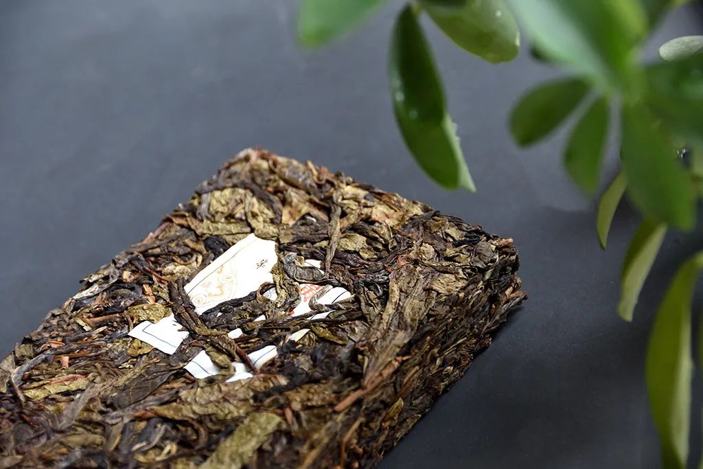 普洱茶古樹黃片，性價(jià)比超高的口糧茶，有骨有肉香甜順