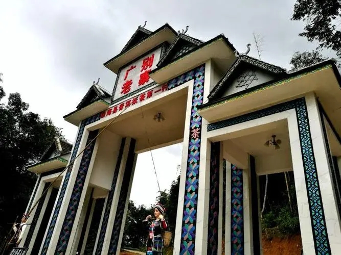 2023年廣別老寨古樹春茶品質(zhì)如何？