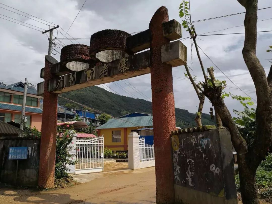 2023年廣別老寨古樹春茶價格多少？