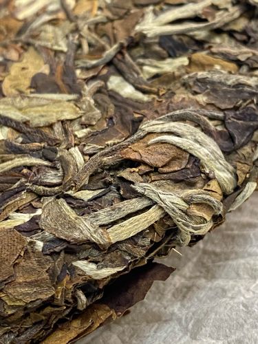 2023年拔瑪老寨古樹春茶特點(diǎn)是什么？