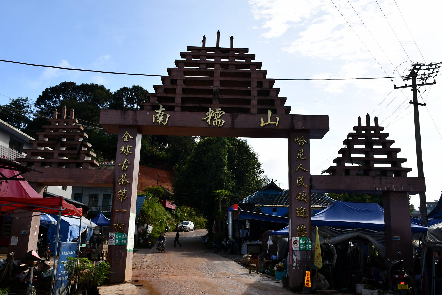 2023年南糯山古樹春茶價(jià)格是多少？