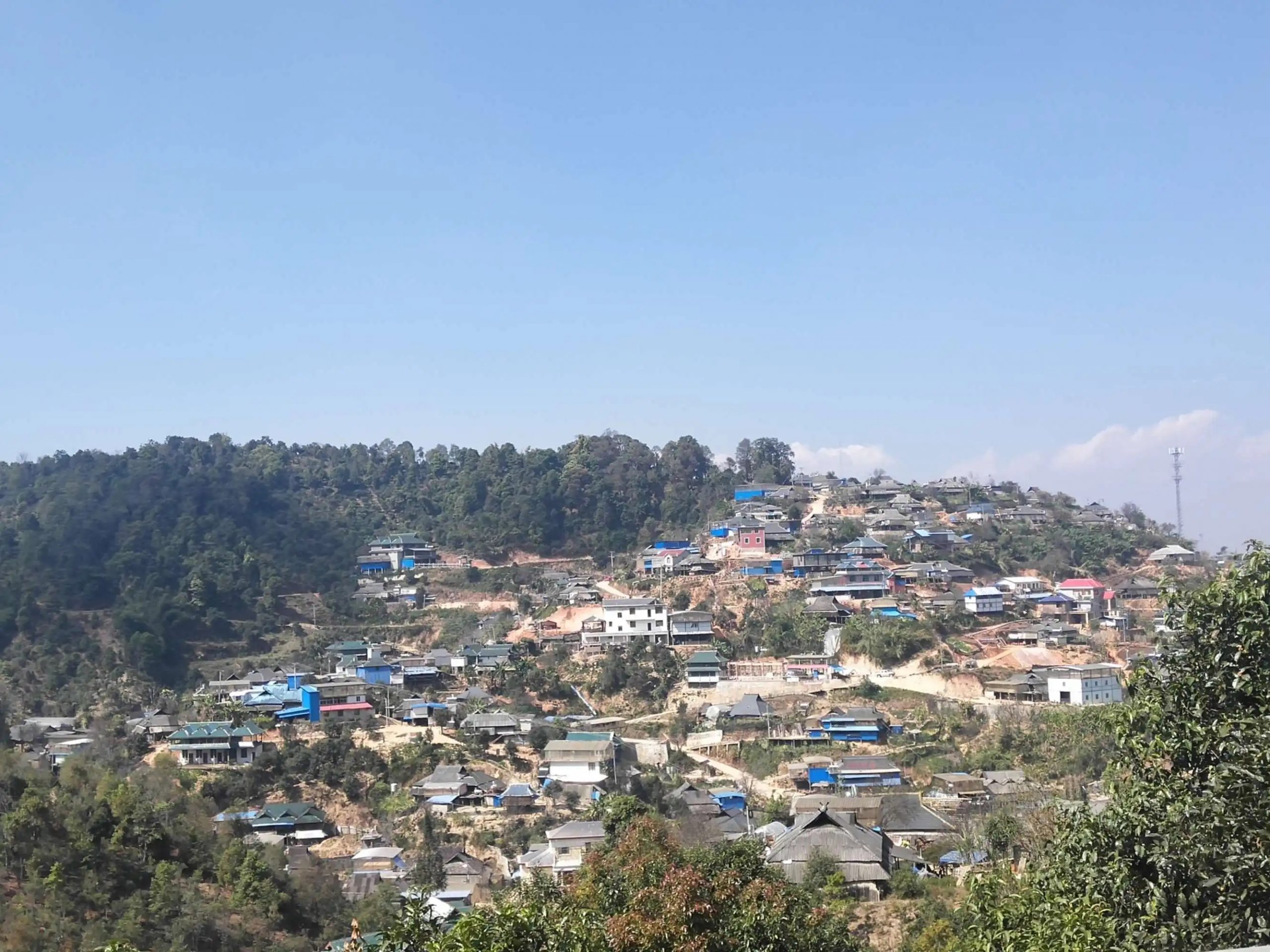 2023年帕沙古樹春茶品質(zhì)如何？