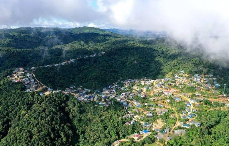 2023年帕沙古樹春茶口感怎么樣？