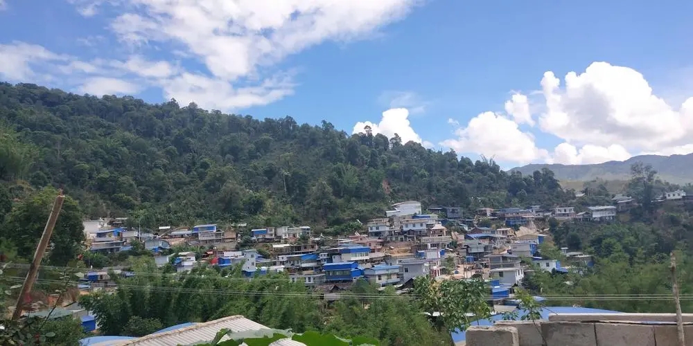 2023年那卡古樹春茶品質(zhì)如何？