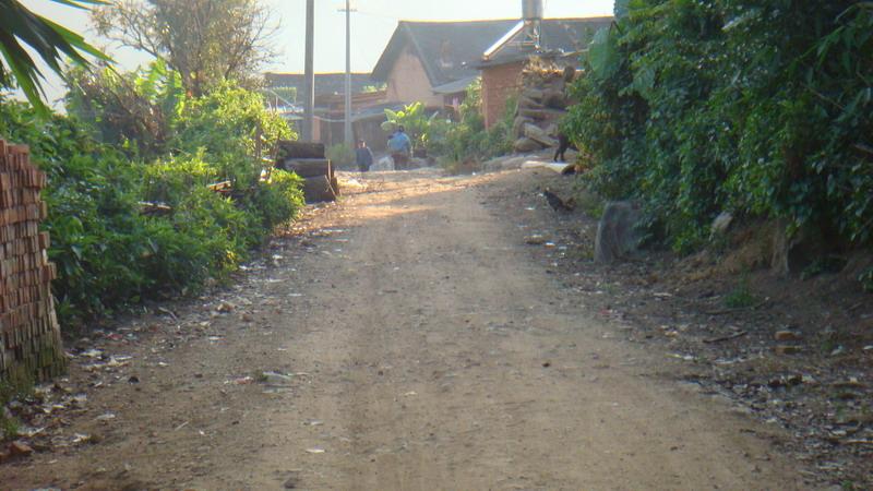 2023年保塘老寨古樹春茶價格是多少？