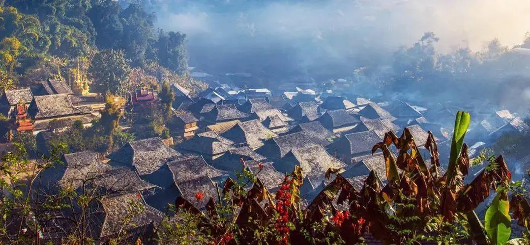 2023年景邁古樹春茶品質如何？