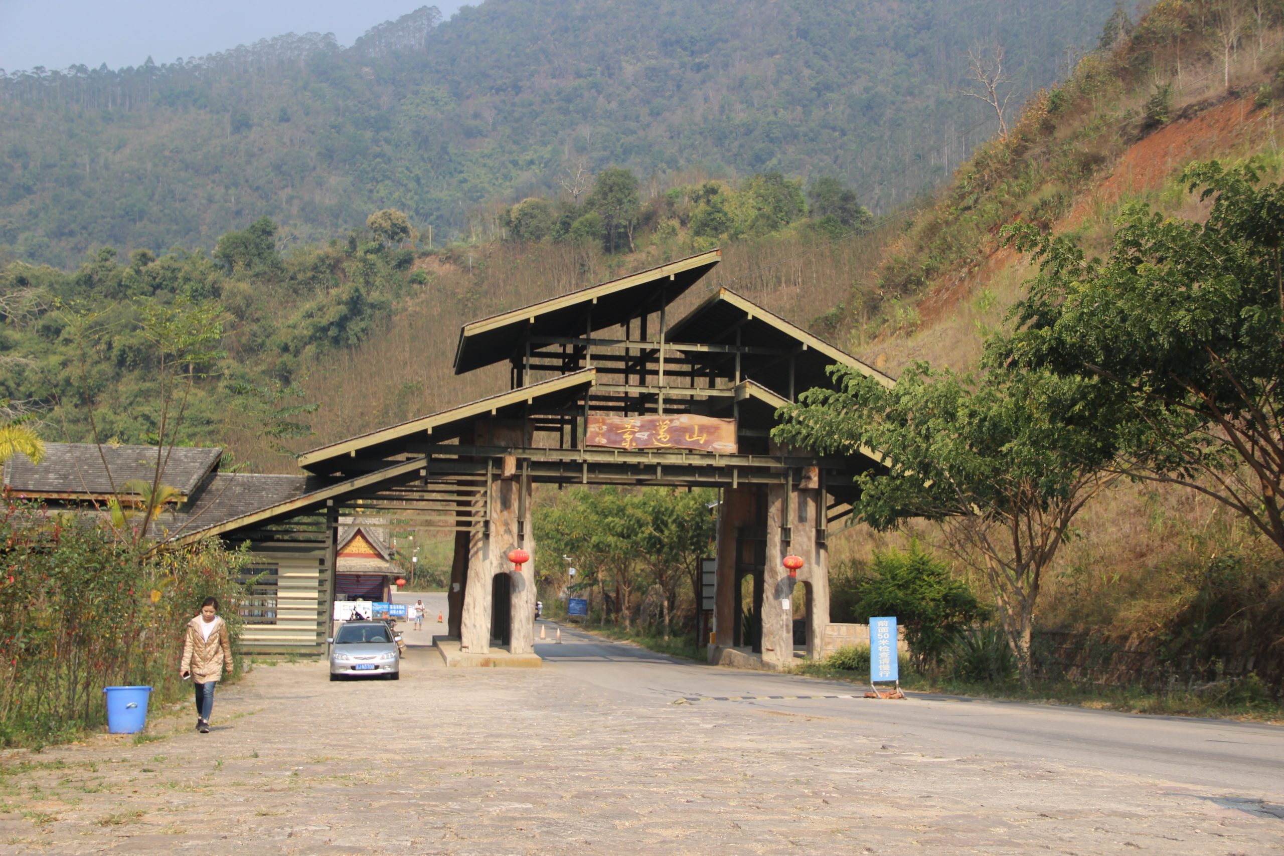 2023年景邁古樹春茶口感如何？