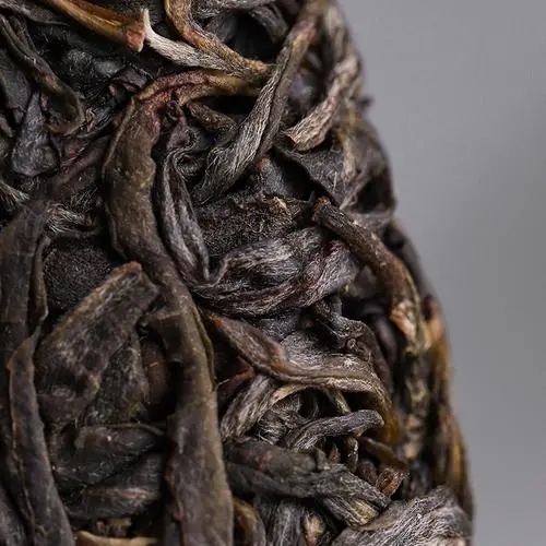 2023年迷帝古樹春茶價格是多少？