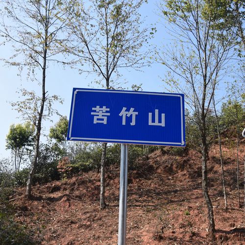 2023年苦竹山古樹春茶品質(zhì)如何？