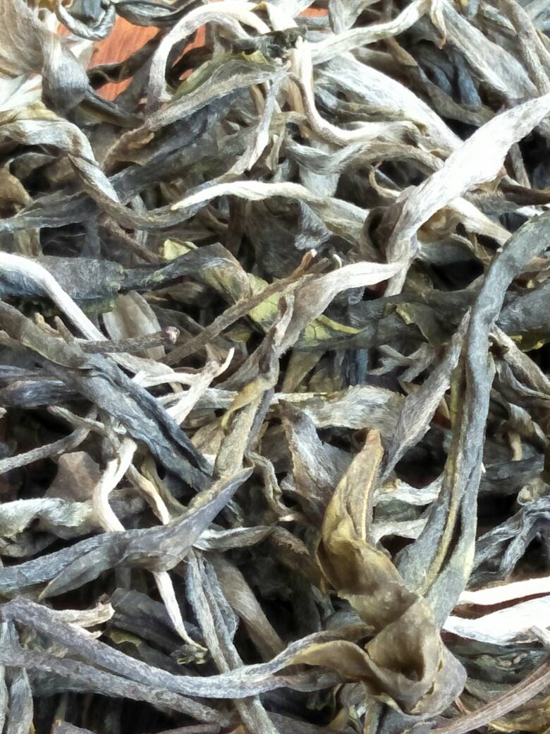 2023年壩歪古樹春茶價(jià)格是多少？