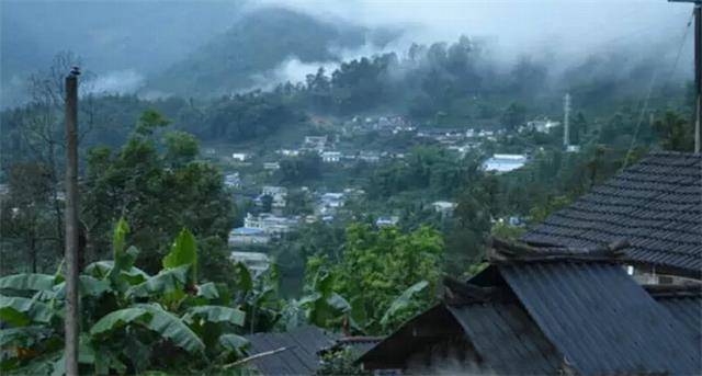 2023年勐庫(kù)豆腐寨古樹春茶口感怎么樣？