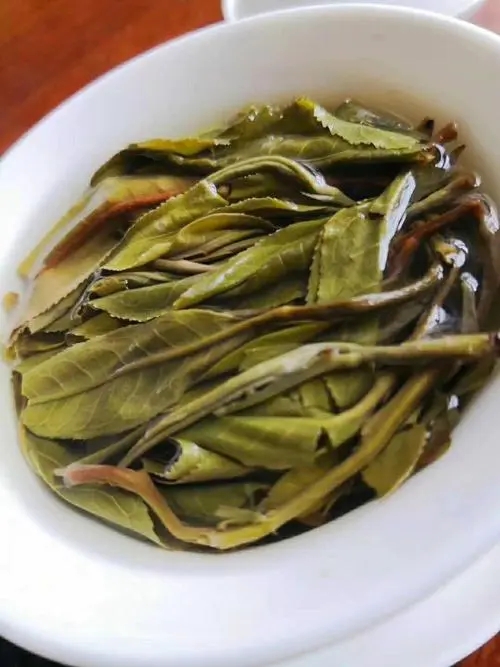 2023年鍋底塘古樹春茶特點(diǎn)是什么？