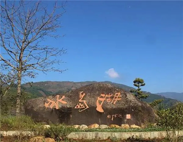 2024年冰島老寨古樹(shù)春茶品質(zhì)怎么樣？