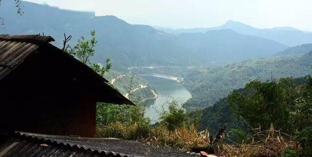 2024年磨烈古樹春茶價格多少？