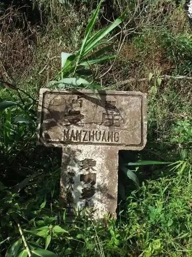 2025年蠻磚古樹春茶特點是什么？