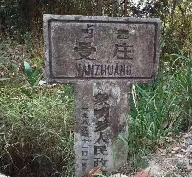 2025年蠻磚古樹春茶價格是多少？